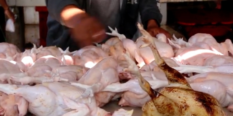 Harga daging ayam di Banda Aceh naik jelang Ramadhan