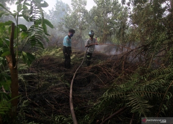 Hujan sebabkan jumlan titik api berkurang di Kalimantan Barat