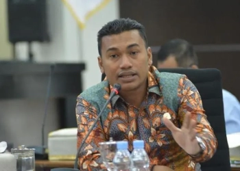 Wakil Ketua DPRA Safaruddin. (Foto: Dok. DPRA)
