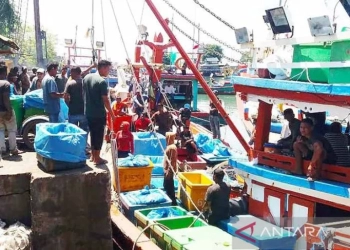 Tangkapan ikan nelayan Lhokseumawe menurun