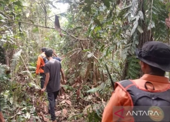 Upaya pencarian terhadap seorang warga yang diduga hilang di hutan kawasan Kecamatan Woyla Timur, Kabupaten Aceh Barat, Senin (25/7/2022). (ANTARA/HO-Dok Basarnas Pos Meulaboh)
