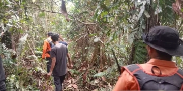 Upaya pencarian terhadap seorang warga yang diduga hilang di hutan kawasan Kecamatan Woyla Timur, Kabupaten Aceh Barat, Senin (25/7/2022). (ANTARA/HO-Dok Basarnas Pos Meulaboh)
