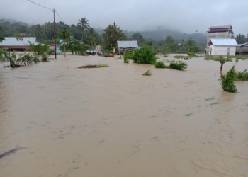 Banjir merendam puluhan rumah di Kabupaten Buol, Provinsi Sulawesi Tengah. (Foto: Dok. BPBA)