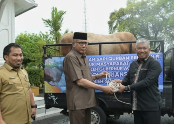 Gubernur Aceh Nova Iriansyah didampingi Karo Adpim Setda Aceh, Muhammad Iswanto menyerahkan sapi kurban bantuan Presiden RI untuk masyarakat Aceh. (Foto: Ist)