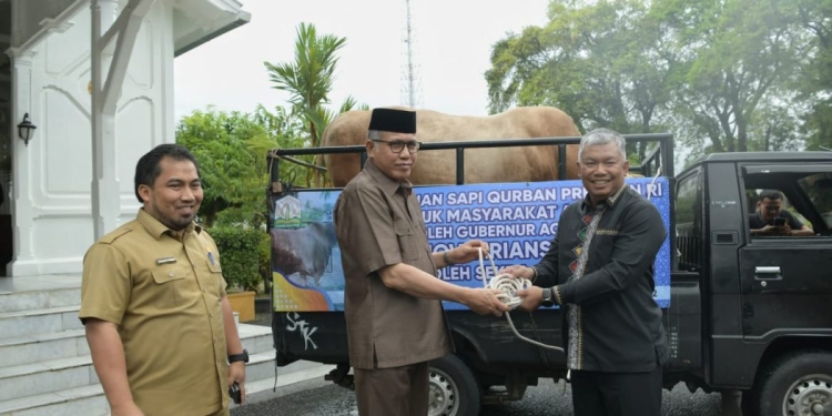 Gubernur Aceh Nova Iriansyah didampingi Karo Adpim Setda Aceh, Muhammad Iswanto menyerahkan sapi kurban bantuan Presiden RI untuk masyarakat Aceh. (Foto: Ist)