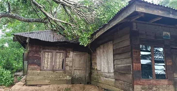 Rumah warga rusak akibat tumbangnya pohon ke atap rumah saat angin puting beliung terjadi di Gampong Seumanah Jaya, Ranto Peureulak, Aceh Timur, Minggu (10/7/2022). (Foto: Ist)