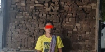 Pelaku illegal logging di Kabupaten Pidie ditangkap Polisi. (Foto: Dok. Polres Pidie)