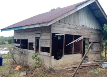 Sebuah rumah masyarakat di Desa Blang Lango, Kecamatan Seunagan Timur, Kabupaten Nagan Raya, Provinsi Aceh, rusak parah setelah diamuk kawanan gajah liar, Senin (5/9/2022). (ANTARA/HO)