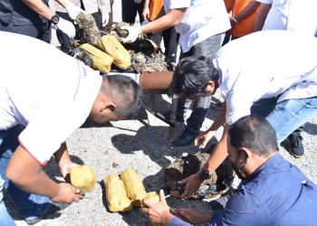 Polisi sedang melakukan pemusnahkan barang bukti ganja 26.475 gram di Bireuen. Foto: Ist