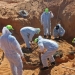 Arsip - Anggota biro orang hilang Pemerintah Perjanjian Nasional (GNA) menggali kuburan massal di kota Tarhouna, Libya, 27 Oktober 2020. (ANTARA/Reuters/Ayman Al- sahili/as)