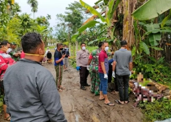 Polisi dan warga di lokasi penemuan mayat di kebun milik warga di Gampong Mesjid Tuha Kecamatan Meureudu Kabupaten Pidie Jaya. (ANTARA/ Polres Pijay)