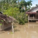 Kondisi banjir yang merendam rumah warga di wilayah Kabupaten Aceh Utara, Selasa, 4/10/2022. (Doc. BPBD Aceh Utara).