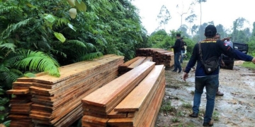 Kepolisian Resor Mukomuko amankan 40 kubik kayu dari kawasan Hutan Produksi Terbatas Air Ikan di Kecamatan Malin Deman, Kamis (27/10/2022) ANTARA/HO-Polres Mukomuko