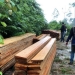 Kepolisian Resor Mukomuko amankan 40 kubik kayu dari kawasan Hutan Produksi Terbatas Air Ikan di Kecamatan Malin Deman, Kamis (27/10/2022) ANTARA/HO-Polres Mukomuko