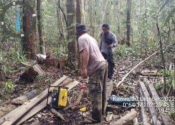 Petugas BBKSDA Riau masih menemukan aktivitas perambahan liar meskipun seorang pelaku sudah ditangkap di sana. ANTARA/HO-BBKSDA Riau
