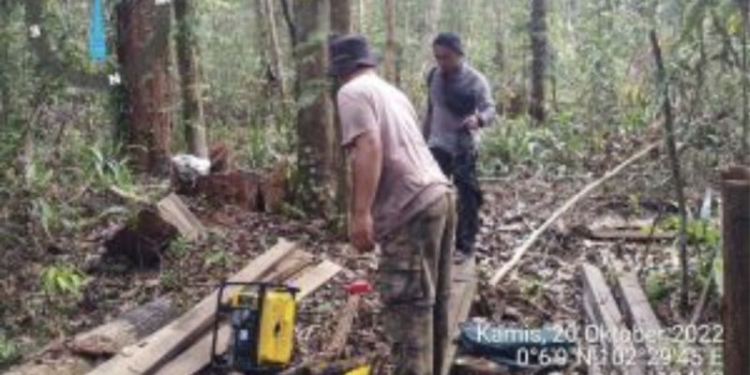 Petugas BBKSDA Riau masih menemukan aktivitas perambahan liar meskipun seorang pelaku sudah ditangkap di sana. ANTARA/HO-BBKSDA Riau