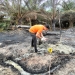 Keadaan sumur minyak yang terbakar di areal perkebunan PT. PPP Desa Seuneubok Lapang, Kecamatan Peureulak Timur (Dok. Polres Aceh Timur).