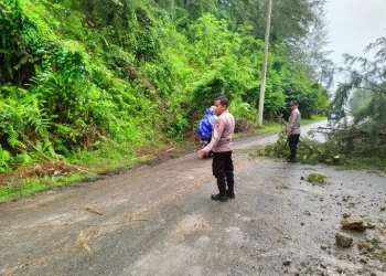 Kondisi longsor di kawasan Gunong Cincancrang Desa Sawang Kecamatan Setia Bakti Aceh Jaya, Kamis (20/10/2022) ((ANTARA/HO))