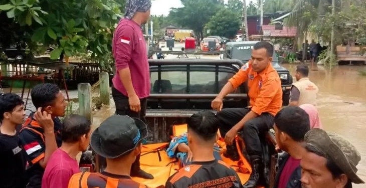 Petugas mengevakuasi korban banjir wilayah di Kecamatan Makmur, Kabupaten Bireuen, Sabtu (19/11/2022). (ANTARA/HO-BPBD Bireuen)