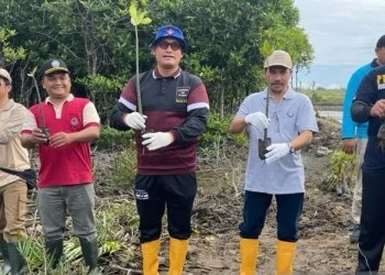 Penanaman pohon mangrove di sekitar pelabuhan perikanan samudera Lampulo, Banda Aceh, Minggu (20/11/2022) (ANTARA/HO)