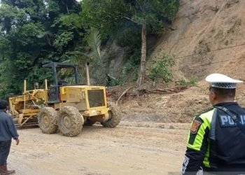 Petugas gabungan tengah melakukan proses evakuasi tanah longsor yang menutupi badan jalan nasional jalur Medan-Banda Aceh di area bukit Desa Seumadam, Kecamatan Kejuruan Muda, Aceh Tamiang, Sabtu (19/11/2022). ANTARA/Dede Harison