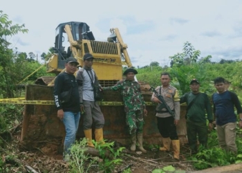 Tim gabungan PKH Kabupaten Mukomuko menemukan alat berat dan kayu ilegal di HPT Air Ipuh I, Jumat (11/11/2022) ANTARA/HO-Istimewa.