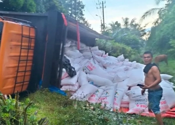 Truk tronton bermuatan pupuk bersubsidi terguling di jalan lintas Medan-Banda Aceh di kawasan Sei Liput, Kejuruan Muda, Aceh Tamiang pascabanjir surut, Senin (7/11/2022). ANTARA/HO