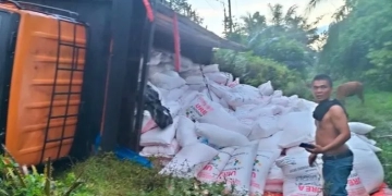 Truk tronton bermuatan pupuk bersubsidi terguling di jalan lintas Medan-Banda Aceh di kawasan Sei Liput, Kejuruan Muda, Aceh Tamiang pascabanjir surut, Senin (7/11/2022). ANTARA/HO