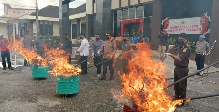 Pemusnahan barang bukti ganja kering oleh unsur Forkopimda di halaman Mapolres Aceh Tengah, Kamis (8/12/2022). (ANTARA/Kurnia Muhadi)
