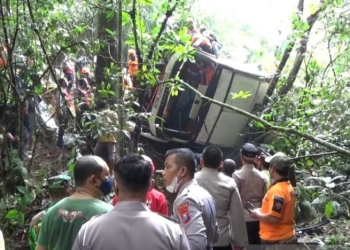 Petugas gabungan melakukan evakuasi korban kecelakaan bus masuk jurang di Jalan Raya Sarangan, Kecamatan Plaosan, Kabupaten Magetan, Jawa Timur, Minggu. (4/12/2022). ANTARA/Louis Rika.