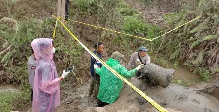 Tim kesehatan hewan BKSDA Aceh melakukan nekropsi terhadap bangkai gajah Lilik yang mati akibat diserang gajah liar di CRU Serbajadi di Gampong Bunin, Kabupaten Aceh Timur, Senin (26/12/2022). ANTARA/HO