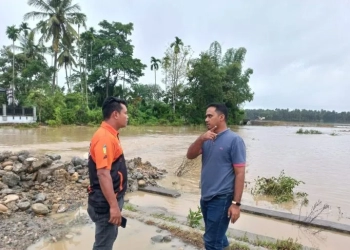 Camat Padang Tiji, Asriadi sedang meninjau lokasi banjir. (ANTARA/ HO)