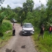 Pelaku peredaran ganja yang berhasil ditangkap polisi setelah melarikan diri dari kejaran petugas Badan Narkotika hingga ke dalam hutan di Palupuh, Agam. (ANTARA/Dok Polsek Palupuh)