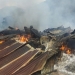 Pasar Mapia, Kabupaten Dogiyai, Sabtu (21/1/2023) ludes dibakar massa. (ANTARA/HO-Humas Polda Papua)