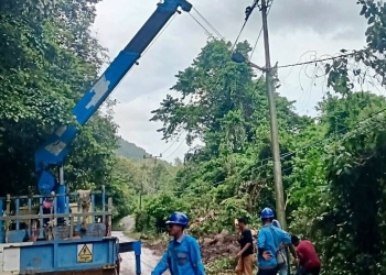 Petugas PLN ULP Kota Sabang lakukan perbaikan tiang listrik terdampak longsor dan pohon tumbang. (Dok. Humas Kota Sabang)