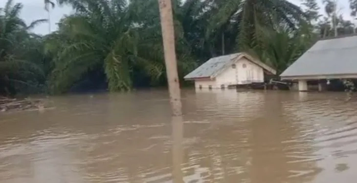 Rumah warga dan perkebunan sawit di Desa Leubok Pusaka, Kecamatan Langkahan, Kabupaten Aceh Utara, terendam banjir. ANTARA/HO/BPBD Aceh Utara
