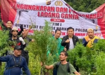 Dokumentasi - Tim Polda Aceh memusnahkan ladang ganja di kawasan Lamteuba, Kabupaten Aceh Besar. ANTARA/HO/Dok Ditresnarkoba Polda Aceh