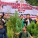 Dokumentasi - Tim Polda Aceh memusnahkan ladang ganja di kawasan Lamteuba, Kabupaten Aceh Besar. ANTARA/HO/Dok Ditresnarkoba Polda Aceh