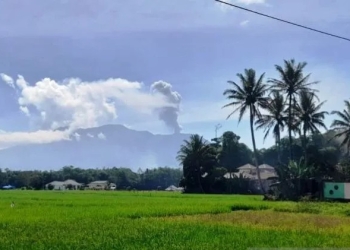 Gunung Marapi, Sumatera Barat, mengalami erupsi pada Kamis siang (12/1/2023). (ANTARA)