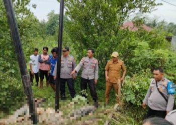 Polisi sebut dua pekerja proyek Telkom di Kabupaten Konawe, Provinsi Sulawesi Tenggara tewas akibat tersetrum aliran listrik, Senin (9/1/2023). ANTARA/HO-Polsek Pondidaha