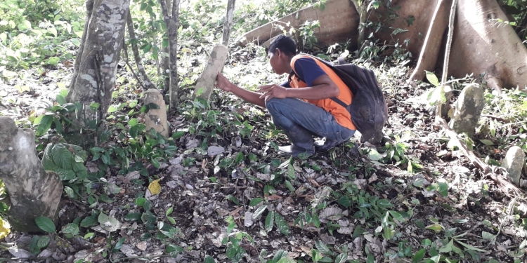 Tim peneliti hutan adat di Pidie. (Dok. Istimewa)