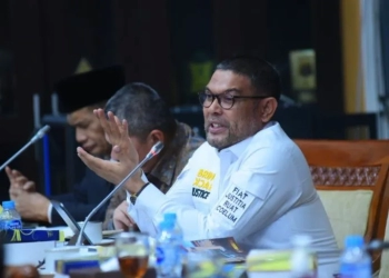 Koordinator Forbes DPR RI/DPD RI asal Aceh M Nasir Djamil (ANTARA/HO/Dok.pribadi)