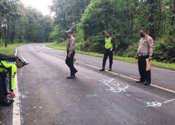 Polisi olah TKP kecelakaan motor gede (moge) versus bus di jalur pantura Hutan Baluran Situbondo. Jumat (3/3/2023) ANTARA/HO-ist