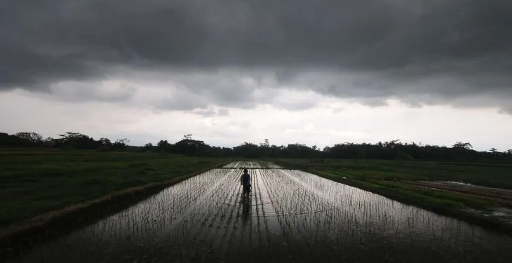 Arsip Foto. Mendung penanda hujan meliputi bagian langit di atas daerah Sawit, Boyolali, Jawa Tengah, Rabu (1/3/2023), saat seorang petani bekerja di lahan padinya. (ANTARA FOTO/Aloysius Jarot Nugroho)