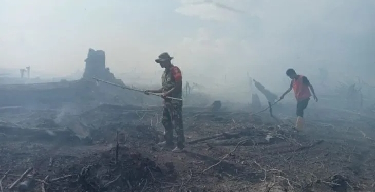 Kebakaran lahan di Kecamatan Trumon, Kabupaten Aceh Selatan, Kamis (2/3/2023). (ANTARA/HO-BPBD Aceh Selatan)
