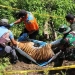 Tim BKSDA dibantu TNI, Polri, serta masyarakat mengevakuasi bangkai harimau yang ditemukan mati di Kabupaten Aceh Selatan. ANTARA/HO/Dok BKSDA Aceh