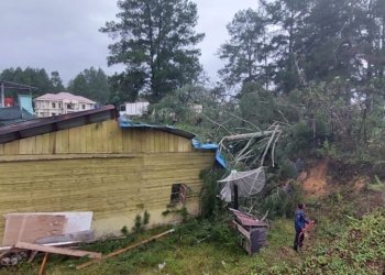 Pohon tumbang timpa rumah warga di Desa Kutelintang, Kecamatan Blangkejeren, Kabupaten Gayo Lues, Aceh, Kamis (20/4/2023). (Foto: Alibi/Dok. BPBA)