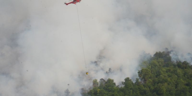 Sebuah helikopter berupaya memadamkan kebakaran hutan dan lahan di perbatasan Kota Dumai dan Kabupaten Bengkalis, Minggu (23/4/2023). (Foto: Antara/HO-Sinar Mas)