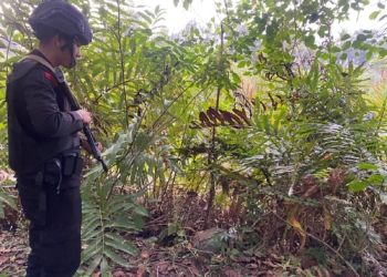 Personel Kompi 1 Batalyon A Pelopor Korps Brimob Aceh mendatangi lokasi penemuan granat tangan. (Foto: Alibi/Dok. Polresta Banda Aceh)
