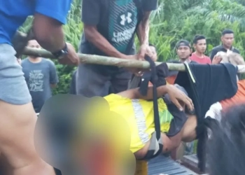 Warga Kecamatan Siak, Kabupaten Siak ditemukan tewas diduga diserang harimau saat memanen karet dan sawit. (Foto: Antara/HO-Tangkapan Layar)